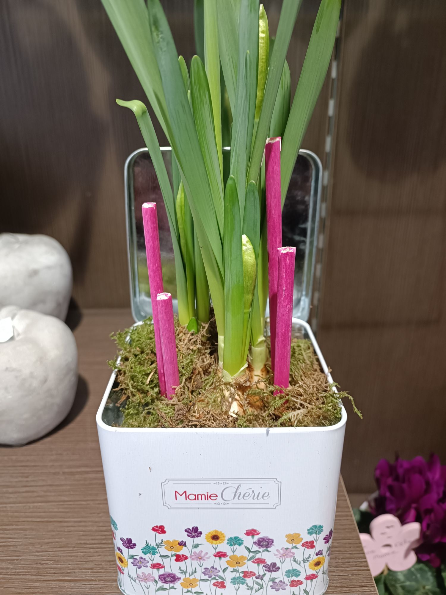 Fête des grands mères Dimanche 3 mars 