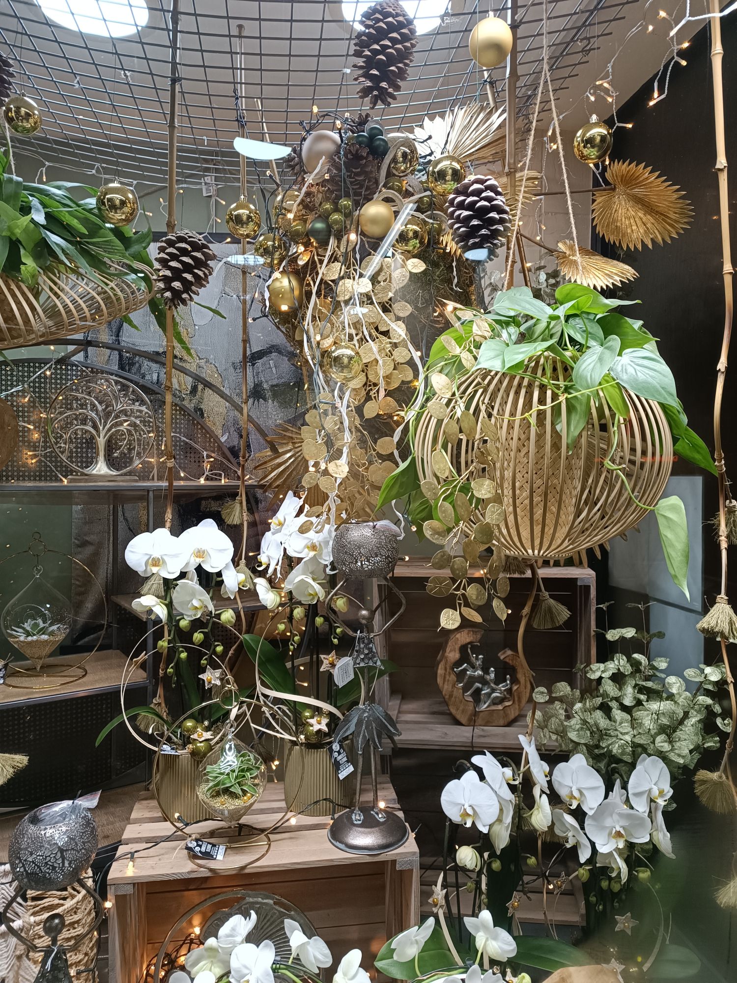 Vitrine de Noël 