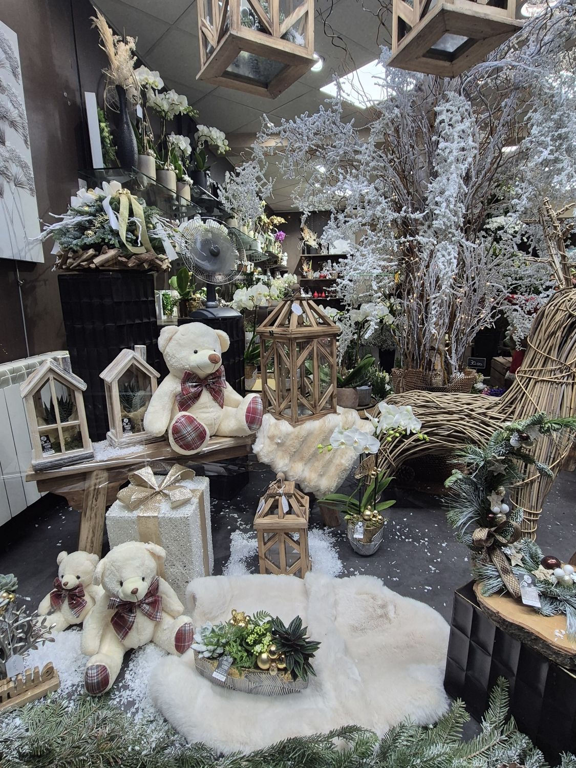 Vitrine de Noël 