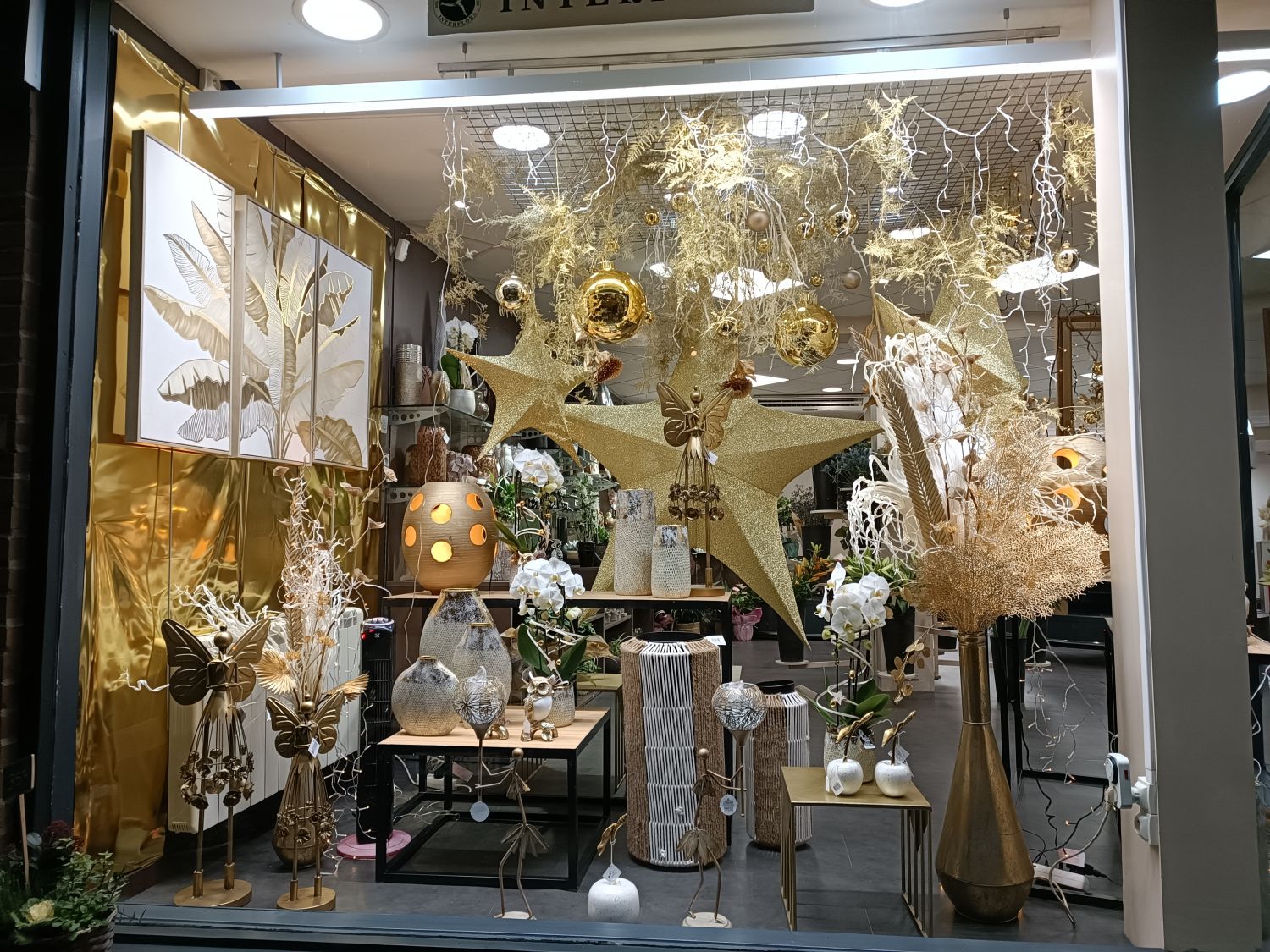 Vitrine de Noël 