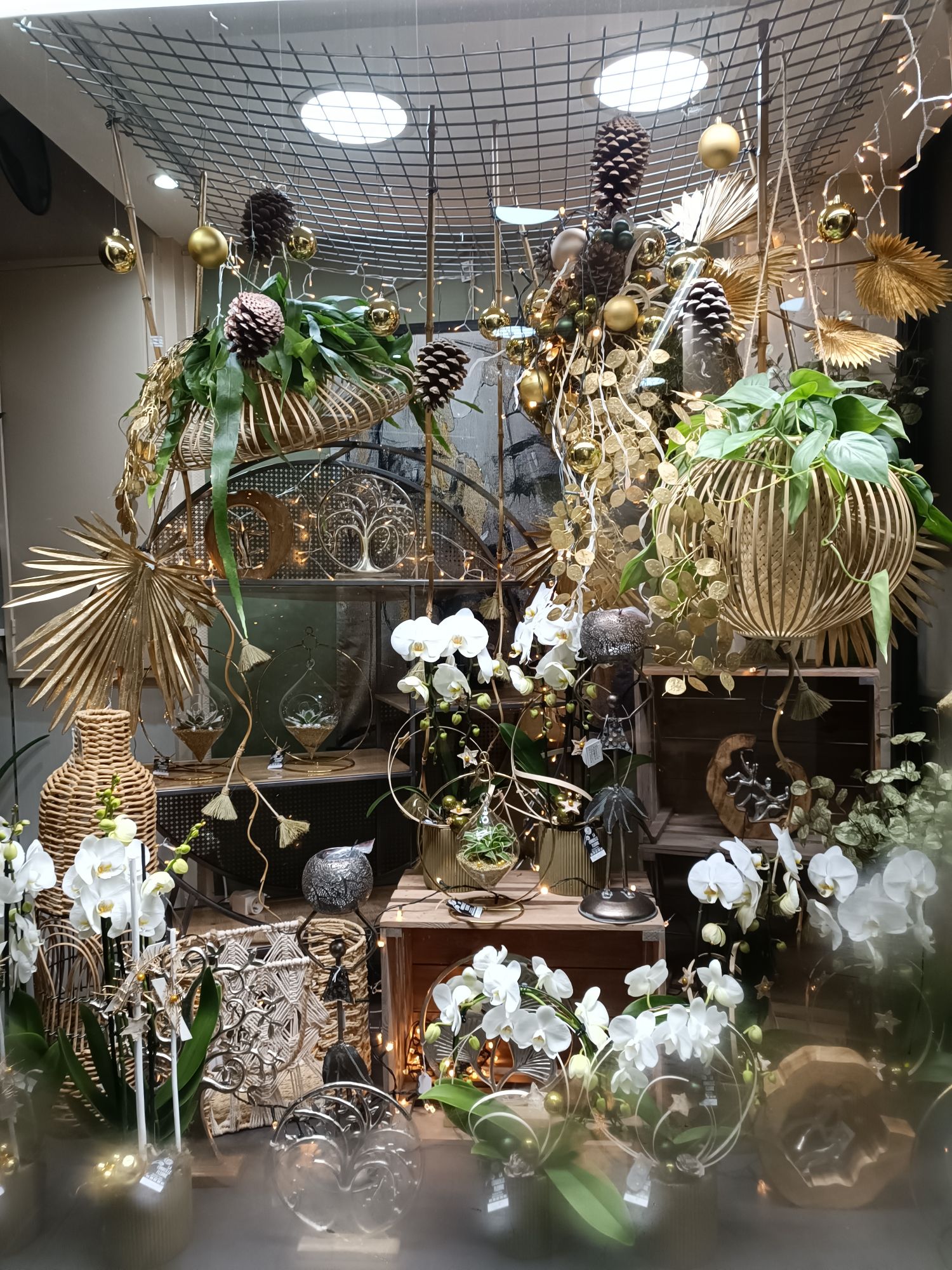 Vitrine de Noël 